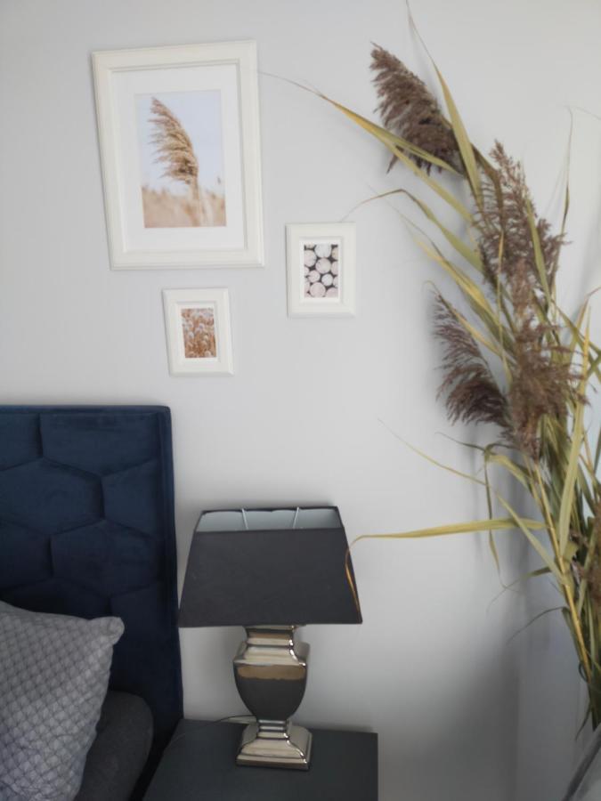 Apartament Blue Sky Любин Экстерьер фото